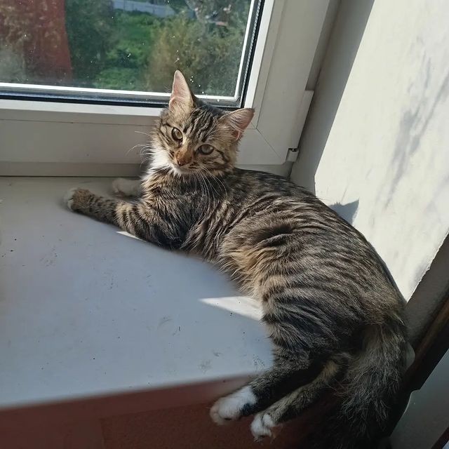 ekalina_929 в LOOKY. . Моя Марта 🥰