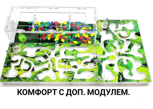 ant_happy_27 в LOOKY. #муравьихабаровск,#муравьиныефермы,#формикарийхабаровск,#хабаровск,#подарки,#дети,#новосибирск,#формикариихабаровск,#подаркихабаровск,#муравьихабаровск,#муравьинаяфермахабаровск,#срочно,#формикарий,#муравьи,#счастливыймуравей,#хобби,#новыйгод. НОВИНКА❗Представляем...