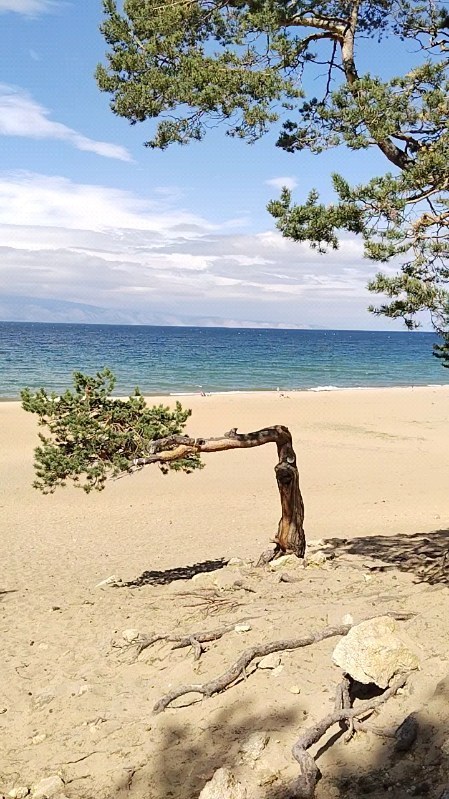 _anny_sofiiki в LOOKY. . Наше путешествие на ...