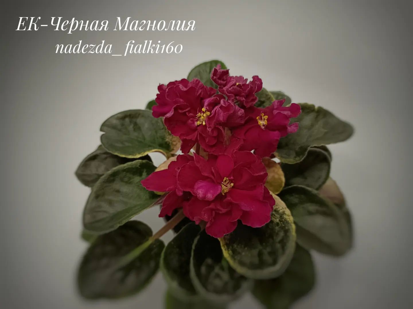 ***

-Я могу быть какой угодно: веселой, грустной, печальной, сумасшедшей. Не надо обращать внимание, его надо уделять. 

Ринат Валиуллин "Не замужем"