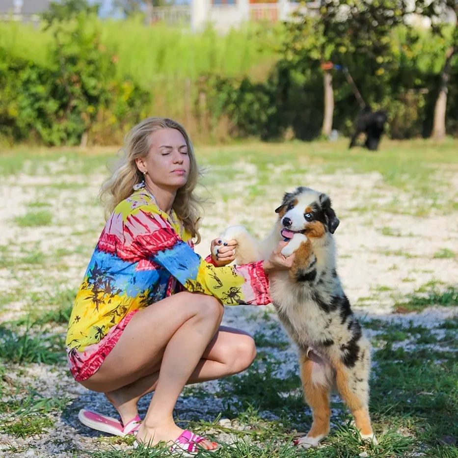 iz_doma_korolevoi_kennel в LOOKY — фото 4