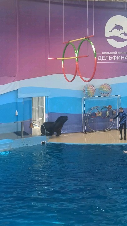 efimov.misha в LOOKY. . null
