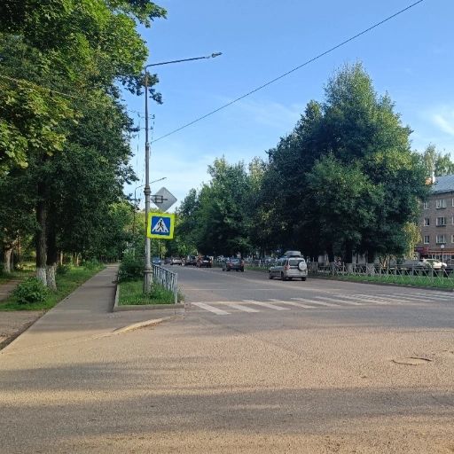 #Боровичи
#БОРО
#53
#Новгород
#фото
#нейрон