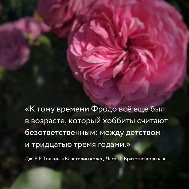 marianchecraft в LOOKY. #толкин,#деньрождения,#заказатьиллюстрацию,#арт,#блогхудожника,#nature,#опыт,#этожопыт. Список <п>опыта, соб...