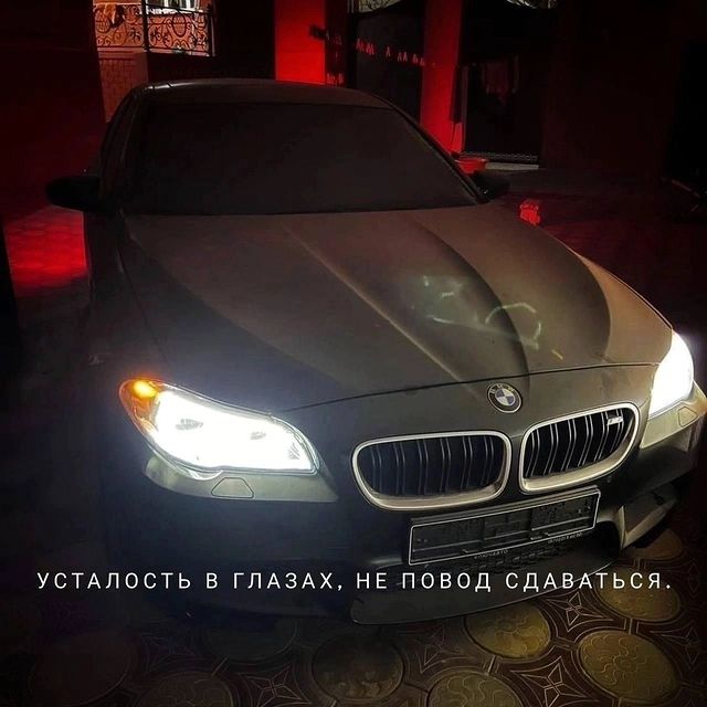 dreamdollarsdomain в LOOKY. . null