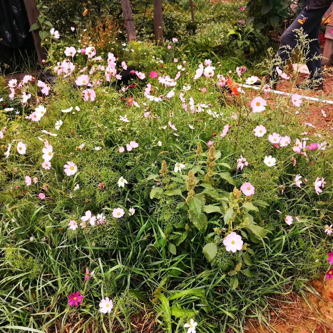 alenaprislegina в LOOKY — фото 3