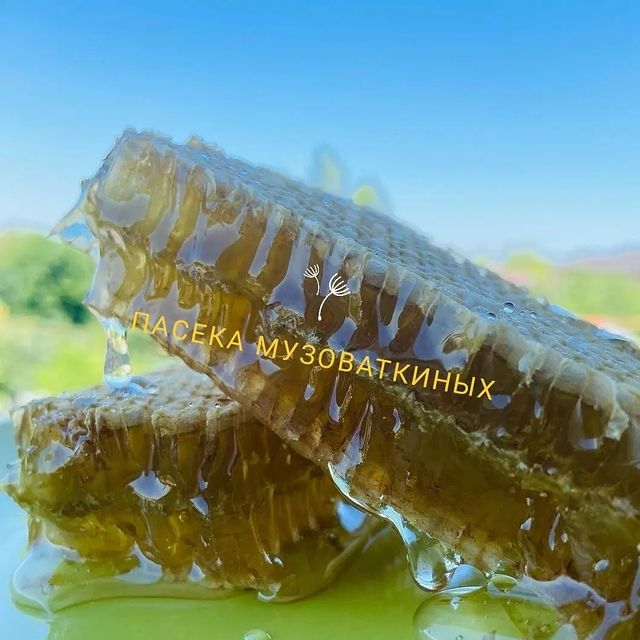 honey_volgograd34 в LOOKY. . ‼️МЁД В СОТАХ‼️
⠀
⠀⠀...