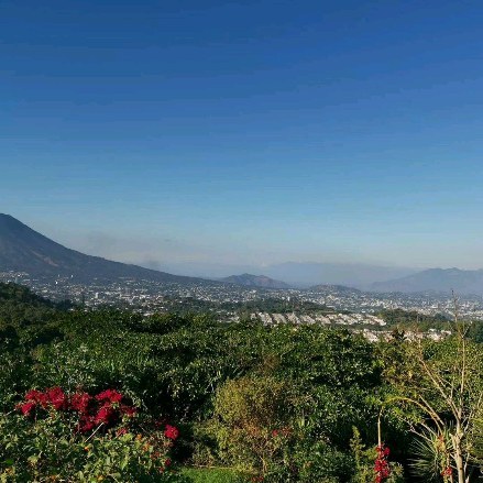 ab_zatara_ru в LOOKY. #relax,#elsalvador🇸🇻,#coffee. #relax #elsalvador🇸...
