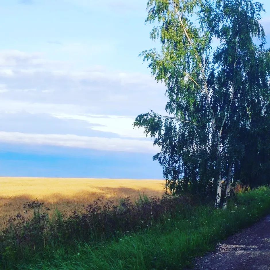 taronavigatorlife в LOOKY — Я переехала из деревни в город в прошлом году.. Первого июня