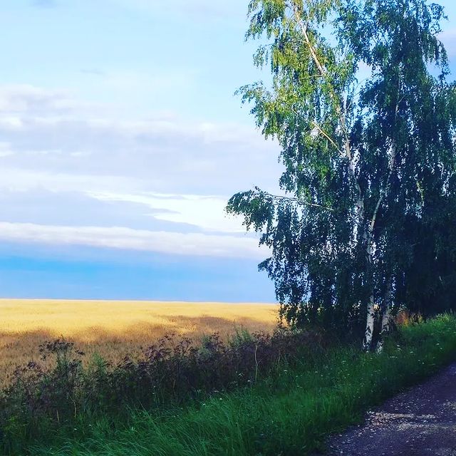 taronavigatorlife в LOOKY. #ответотвселенной,#тароонлайн. Я переехала из дерев...