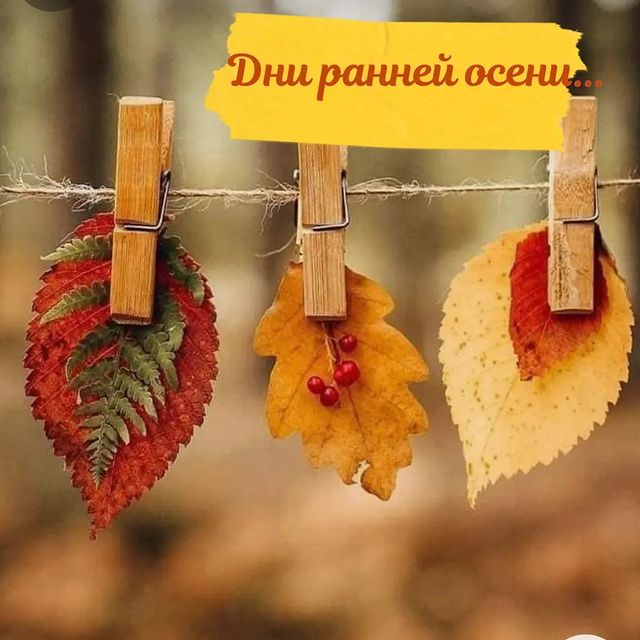 svet_tvorchestva в LOOKY. . Люблю это время... �...