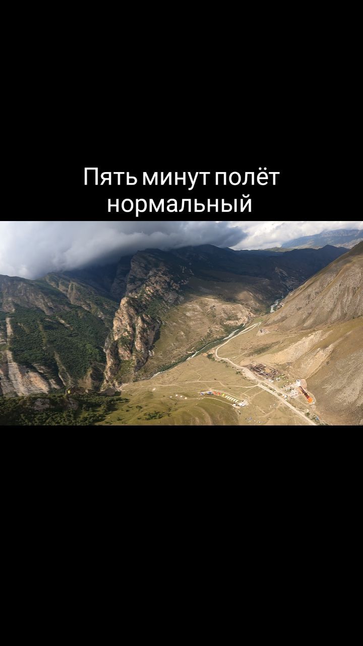 pianyitolik в LOOKY. . null