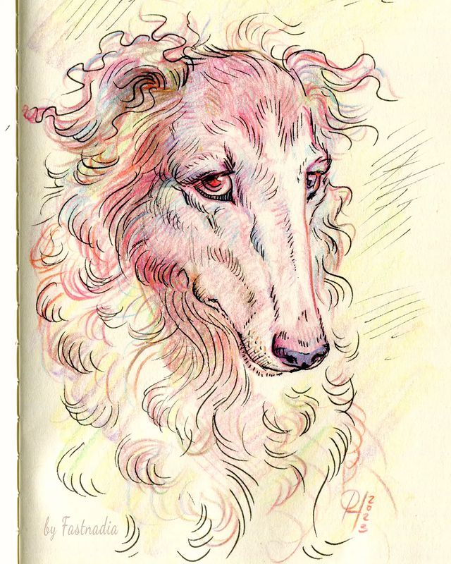 fastnadia в LOOKY. . Russian Greyhound.
M...