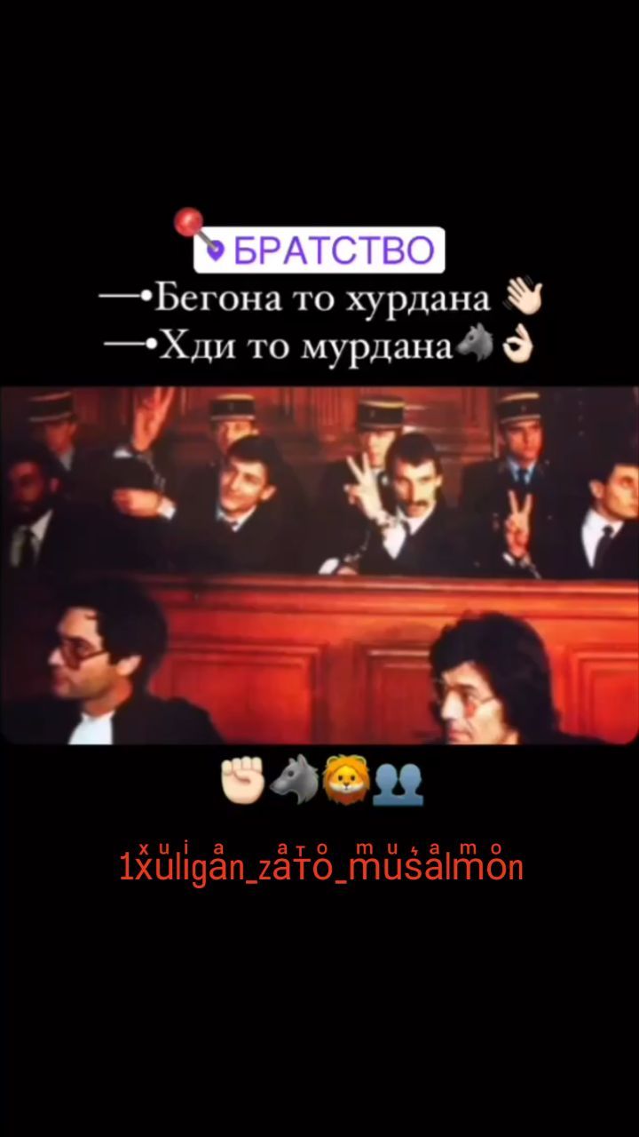 tojik+_pisar008 в LOOKY. #душанбе#кулоб🔥🇹🇯💪😍❤️,#шуробод,#Тоҷикистон🤬🤬,#курган#кулоб🇹🇯🇹🇯🇹🇯🇹🇯🇹🇯🇹🇯🇹🇯. 1xͯuͧliͥgaͣn_zaͣᴛⷮoͦ...