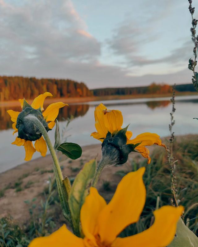 pervouralsk_from_ps в LOOKY. #photooftheday,#photo,#фото,#фотосессия,#фотографирую. #photooftheday #phot...