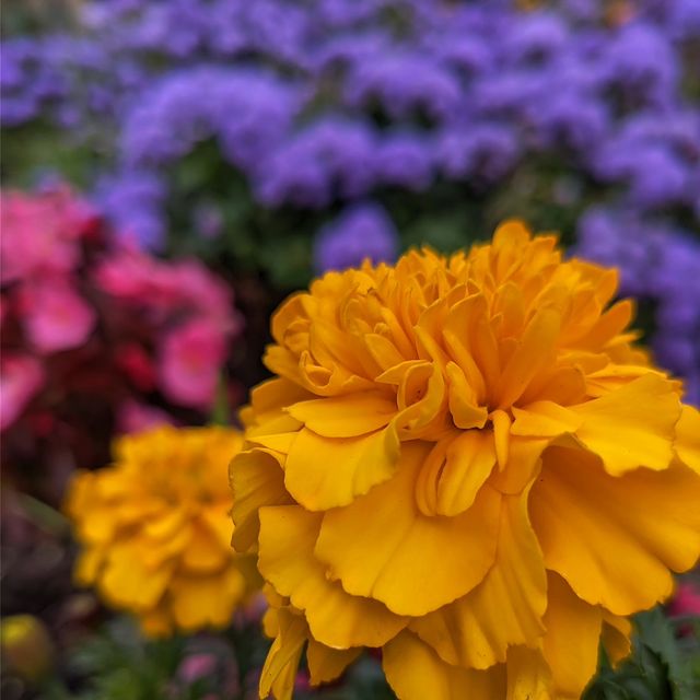 ljolik03 в LOOKY. . null