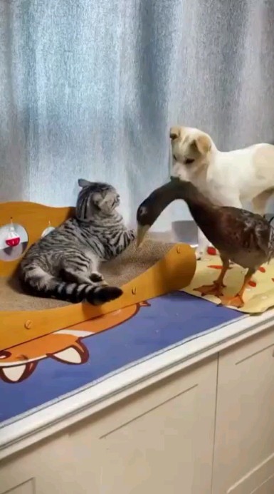 ta_damo4ka в LOOKY. . Когда возвращаешься ...