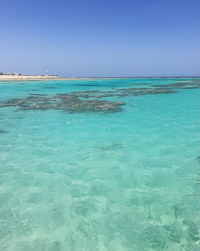 temabarin в LOOKY. #soma#somabay#сома#сомабэй#сомабей#снорклинг#snorkeling#diver#дайвинг#diving#koral#коралл#египет#egypt#хургада#hurgada#красноеморе#redsea. Soma Bay - пока что ...