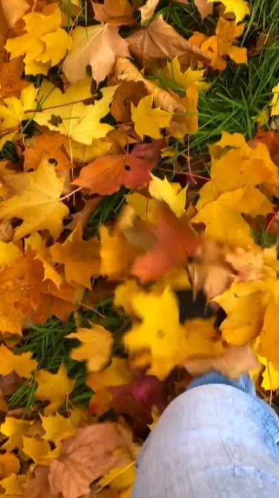 alxanimation в LOOKY. #CAPCUT,#capcut❤️,#capcuttrend,#capcute,#capcutapp,#capcutanime,#capcutэффекты,#capcutвидео,#capcutedit,#capcateditor,#autumn23,#осень23. Capcut эффекты для о...