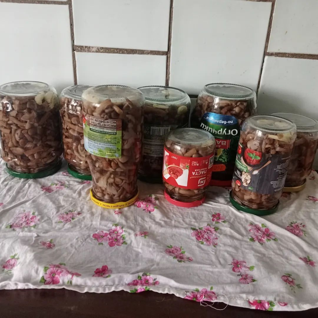 lizo4ka_pandochka_ в LOOKY — фото 3