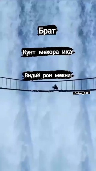 daleraki.5i в LOOKY. . хдт медони кида роиш...