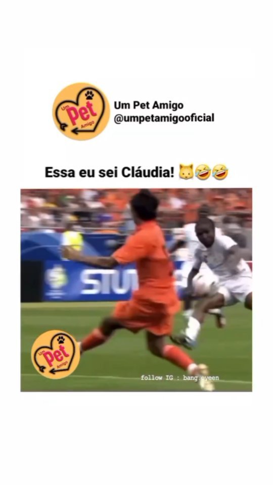 20__kingbar__04 в LOOKY. #catvideos,#catphoto,#catlover,#catinstagram,#catsnuggles,#catmom,#catsofworld,#footballgames,#footwear,#football. Подписывайтесь на мо...