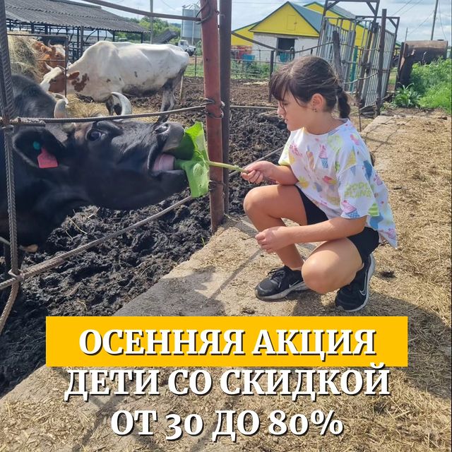 kazanskijlug в LOOKY. . Отдых с детьми осень...