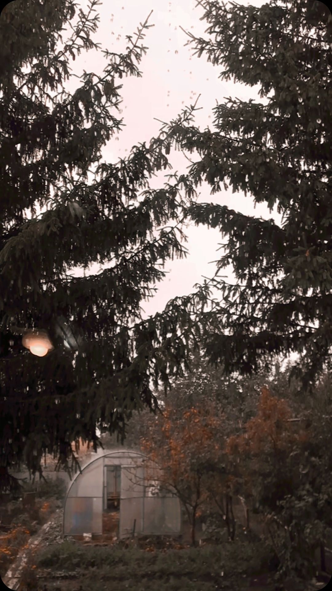 sfm_shh в LOOKY. . null