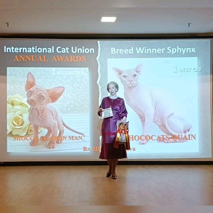 sphynx_shococats в LOOKY. . Мы сегодня были на г...