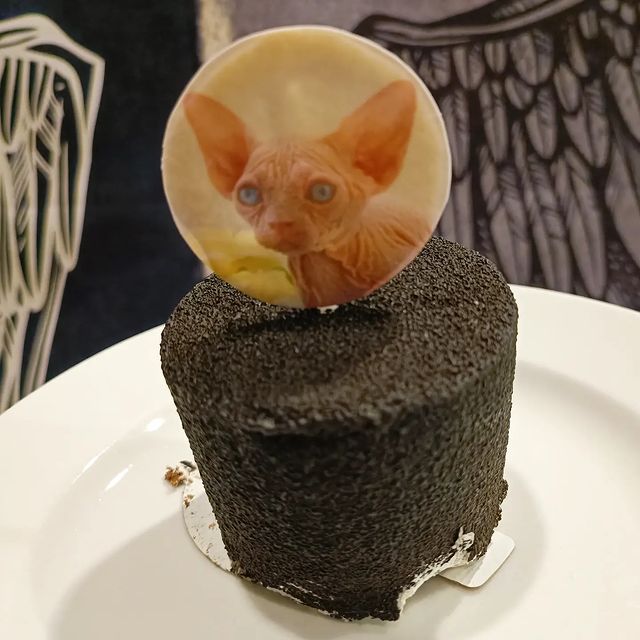 sphynx_shococats в LOOKY. . Най Айрон Мэн😘