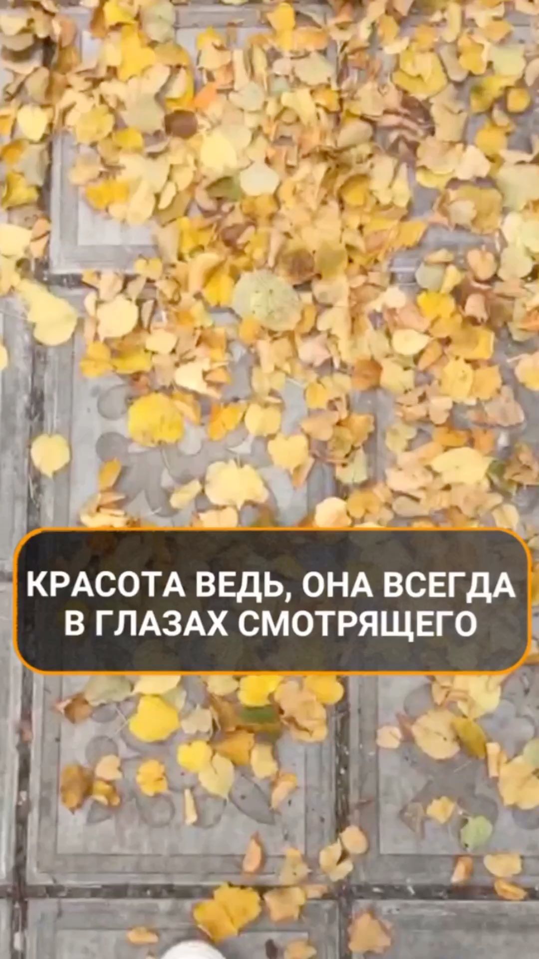 psyholog_kurynov в LOOKY. . Красота ведь, она вс...