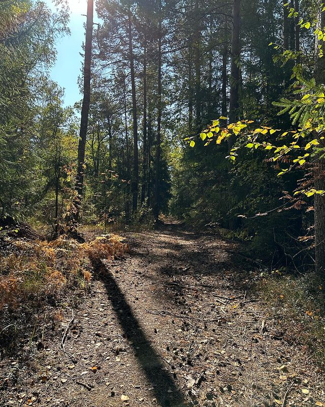 alla_eliseeva_73 в LOOKY. . Прогулялись с мамой ...