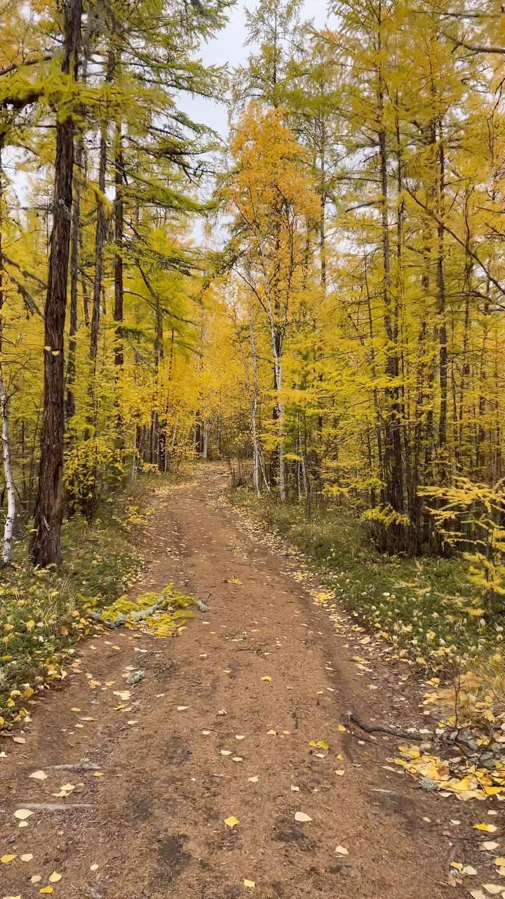 sv_svetik.vs в LOOKY. . 😌🍂🍁🍂🍁🍂