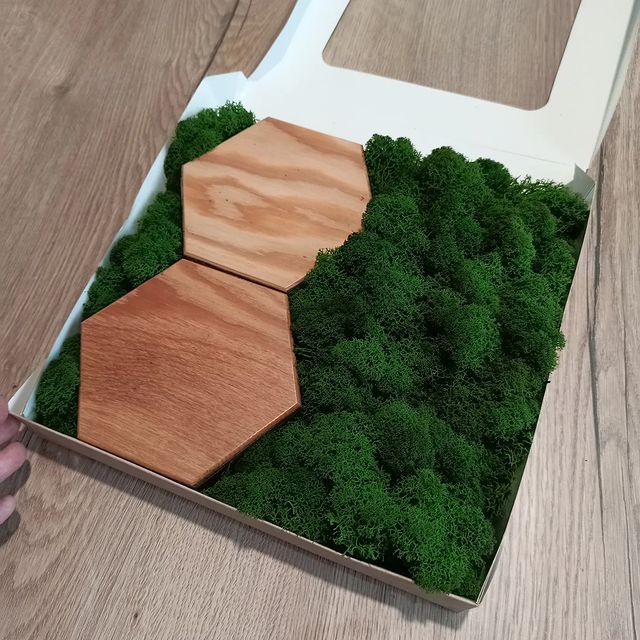 mossart_64 в LOOKY. #набордлятворчества,#мохсвоимируками,#сделайсам,#саратовподарки. Набор "Знакомство со...