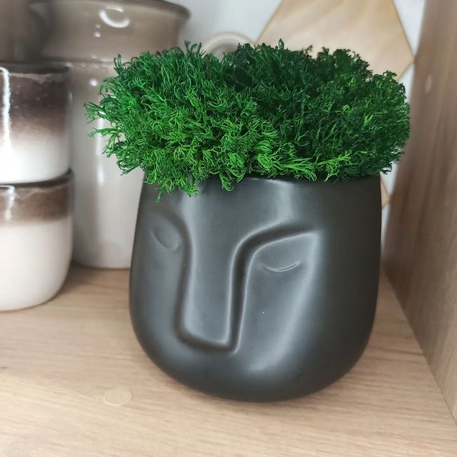 mossart_64 в LOOKY. . Из рубрики "Забыла п...