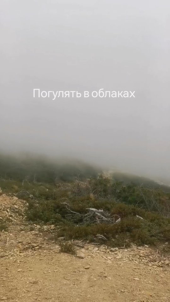 amolchanova_khv в LOOKY. . Выше облаков ☁️😶‍🌫...