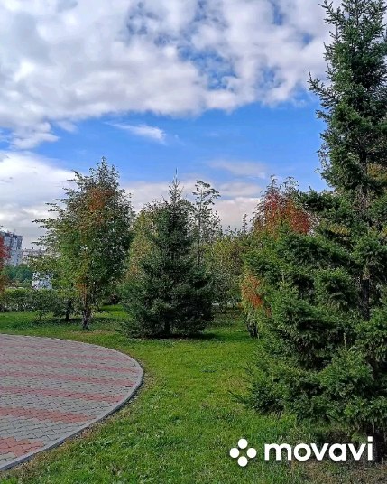 krutik530 в LOOKY. . Пока не наступит зав...