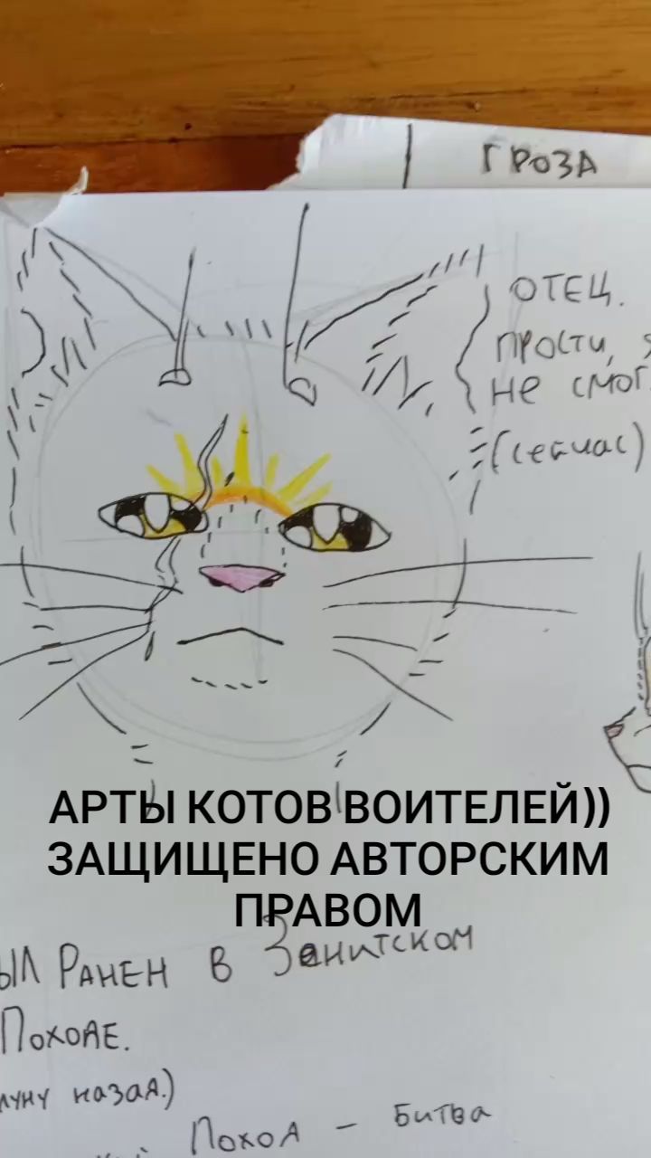 m.a.y.a._art._ в LOOKY. #art,#cat,#warriorscats,#drawing,#арт,#котывоители,#mayasedletskayaart. Коты воители.
#art #...