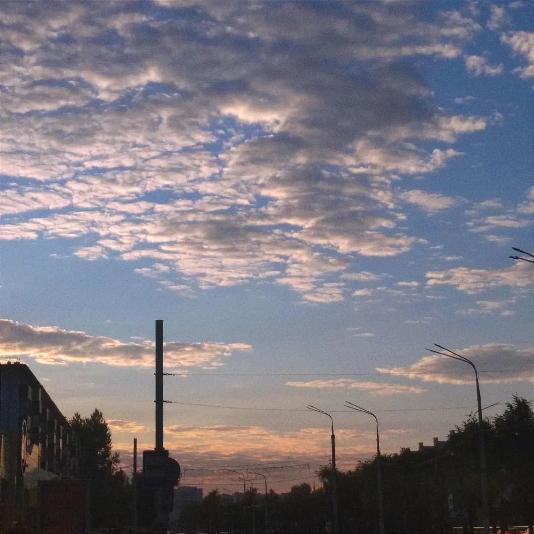 23.0919 -- 🌌☄️🌸 --

 :: Write my name on your hand. ::

  #autumn #september #photo #photography