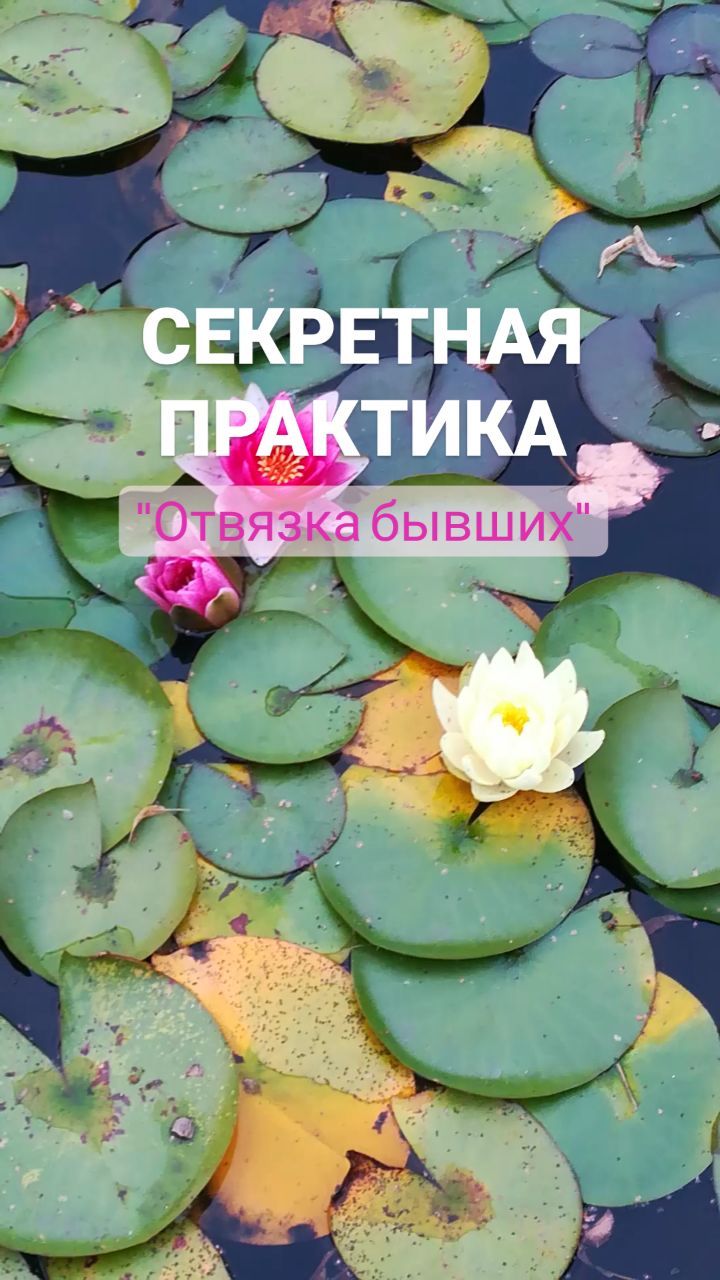 brovkina.rod в LOOKY. . СЕКРЕТНАЯ ПРАКТИКА «...
