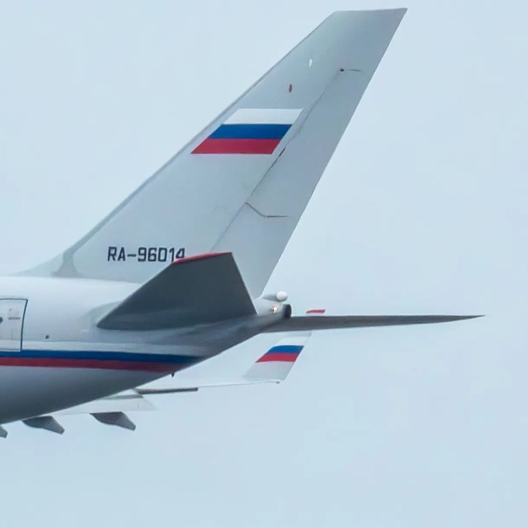 gribosekavia в LOOKY — фото 4