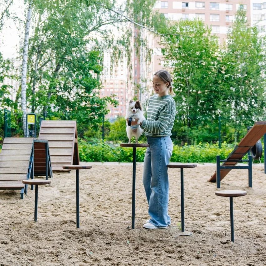 dsk_1.ru in LOOKY. #мыдома,#лучшеедлясемьи. 🐶 Человек собаке др...