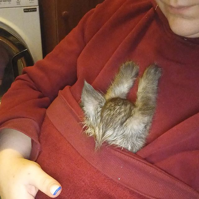 irina_vadimovna1992 в LOOKY. . Мой котя ,он же Гриш...
