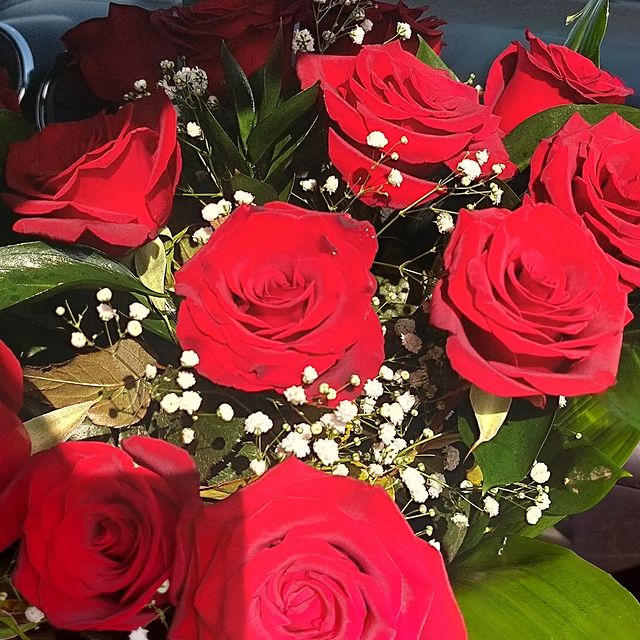 _nazokat_13 в LOOKY. #flowers,#follow,#followforfollowback,#following,#reaction,#top,#rose,#Uzbekistan,#namangan,#new. رغم أننا نؤمن أن اخت...