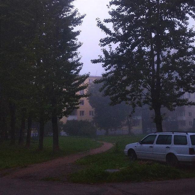 __wasxxe__ в LOOKY. #autumn,#september,#fog,#photo,#photography. 23.09.21 -- 🌫️🌫️🌫...
