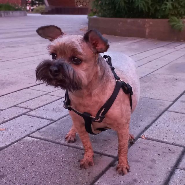 ta_damo4ka в LOOKY. . Причинно-следственна...