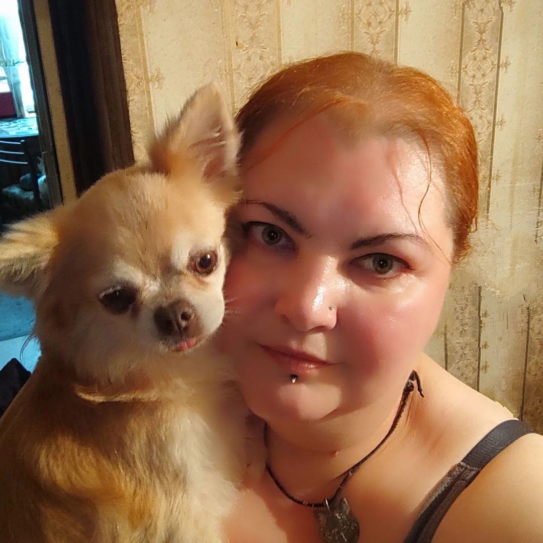 1605olga в LOOKY — Мы! #чихуахуамосква #чихуахуа #chihuahua#chiwawa