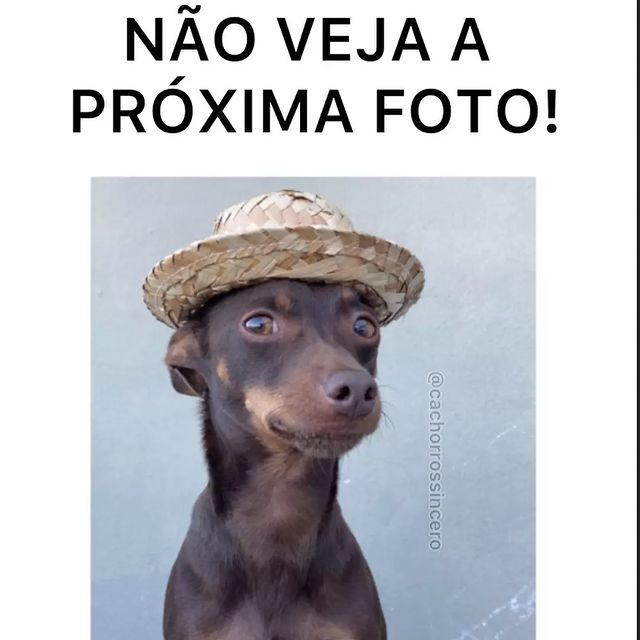 srchagas.flamengo в LOOKY. #flamengo,#srchagas.flamengo,#copadobrasil2023. SE RIR TEM QUE SEGUI...