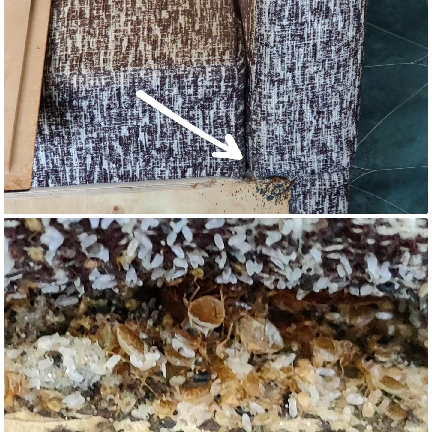 klopservis в LOOKY — фото 5