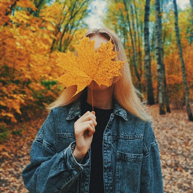 username.accepted в LOOKY. . null